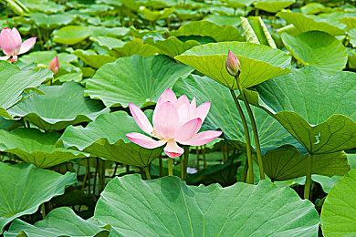 《咒语力量：征服埃欧大陆》年内登陆PS5＆XSX 特别好评